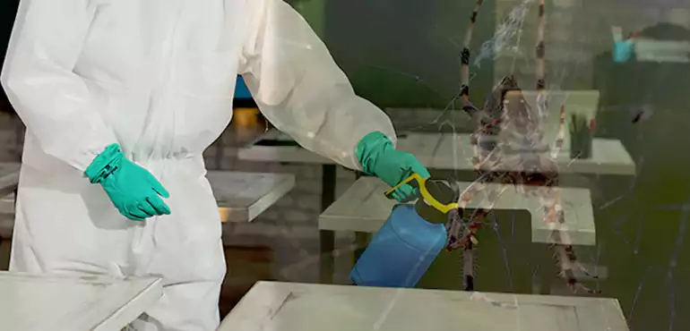 Why Buyers Still Want Homes With Pest Infestations in Kansas City, MO?