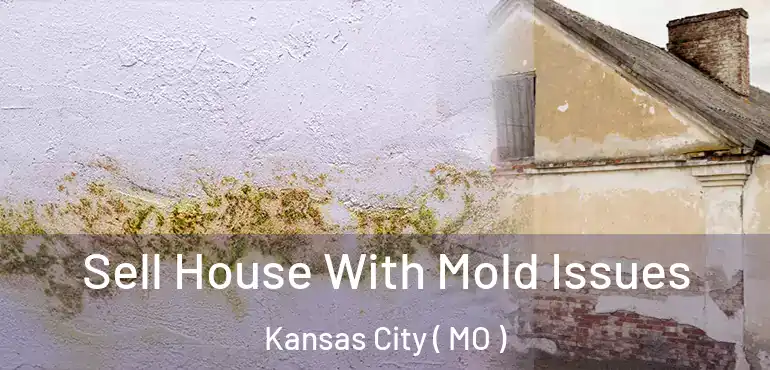  Sell House With Mold Issues Kansas City ( MO )